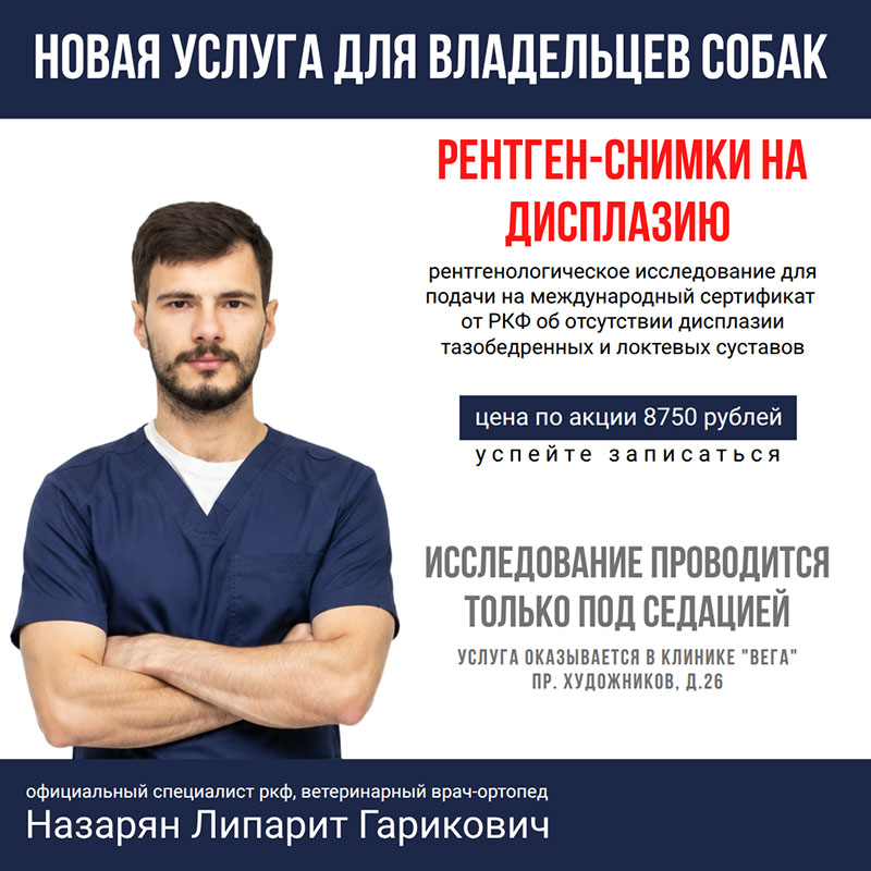 Рентген-снимки на дисплазию по специальной цене