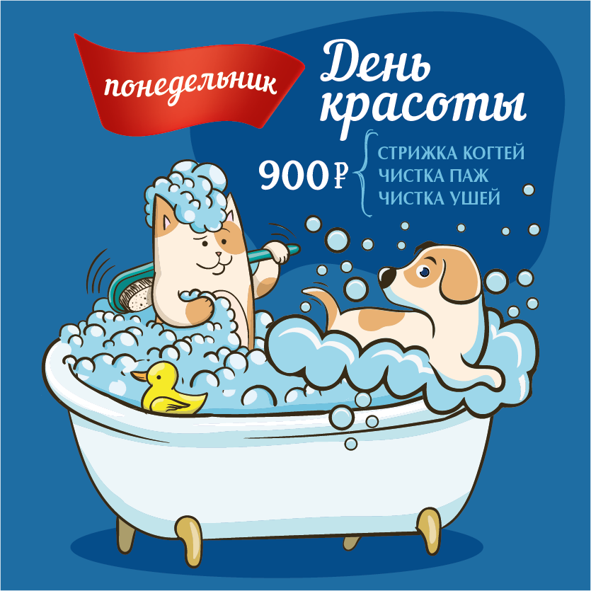 День красоты для кошек и собак