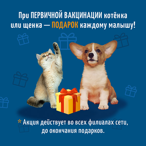 Подарок при первичной вакцинации