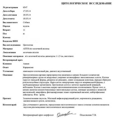 Мастэктомия